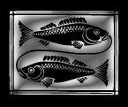 zodiacal symbol: the occidental influence of the stars on people life