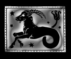 zodiacal symbol: the occidental influence of the stars on people life